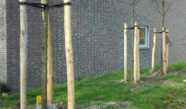 Prot&eacute;gez vos arbres contre le vent avec notre kit de construction de tuteurs d\'arbre.